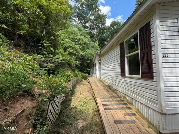 230 Ridge Rd, Weber City, VA 24290