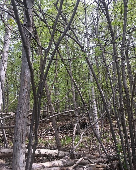 0 Warners Rd Camillus, NY Zillow