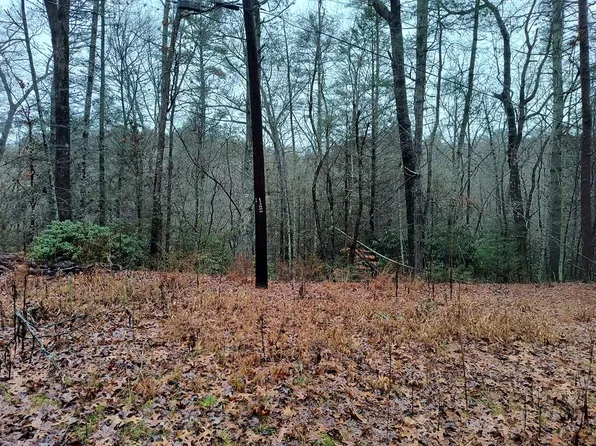 39 Kells Ridge Dr, Ellijay, GA 30540