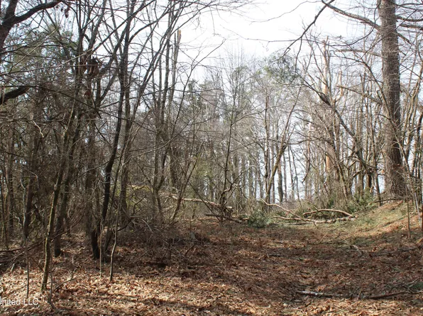 0 Laws Hill Rd, Waterford, MS 38685