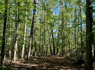 PARCEL Long Lake Rd #B, Cheboygan, MI 49721