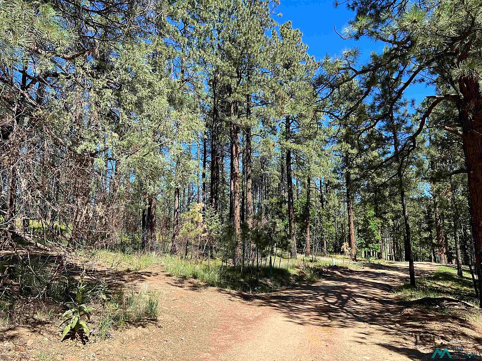 37 Don Jose Dr, Rociada, NM 87742 MLS 20234736 Zillow