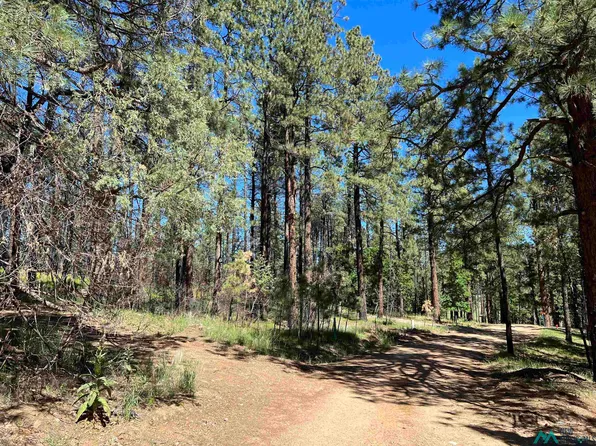 37 Don Jose Dr, Rociada, NM 87742