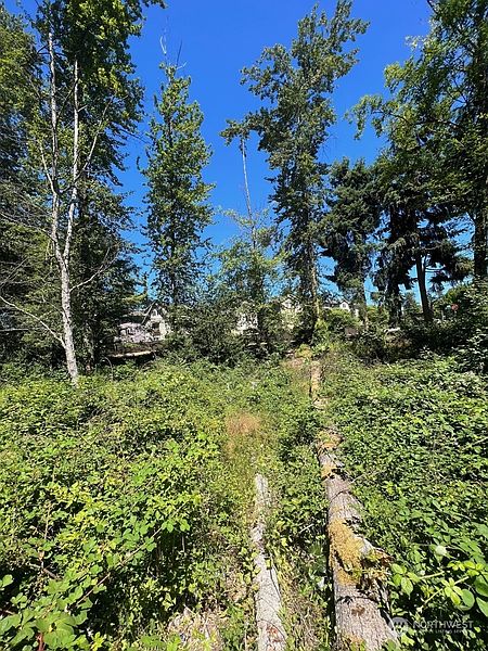 5th image of 14000 Center Road