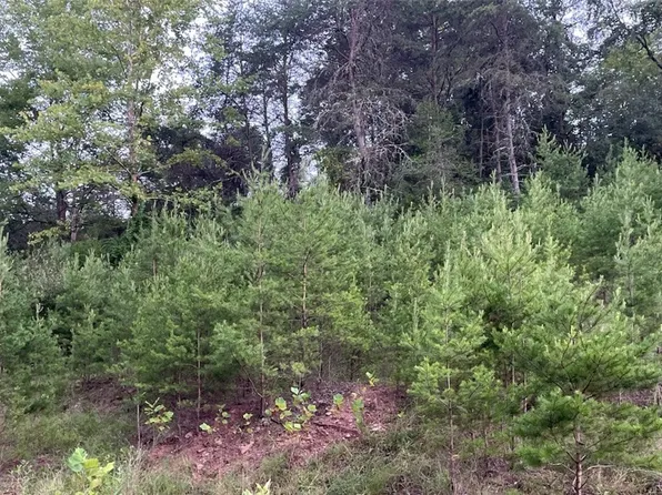 210 Farrow Hill Rd, Davisville, WV 26142