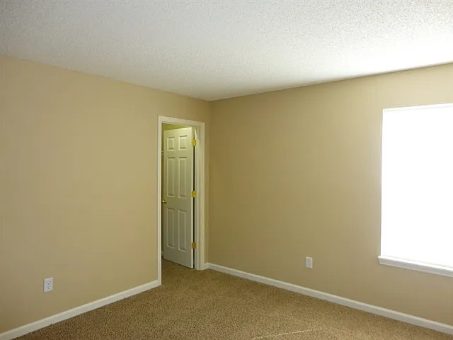 1120 Sassafras Trl — Photo 10