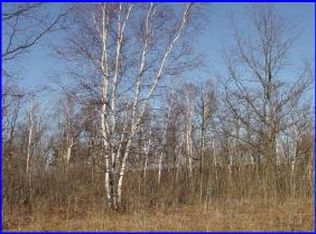 Bluff Court Trl, Sturgeon Bay, WI 54235