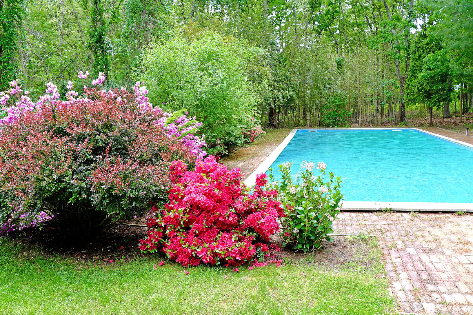 50 foot Olympic heated pool
