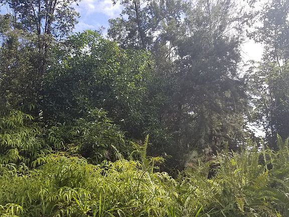 5th image of Road 9 Koloa Maoli Lot 5353