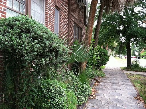 3rd image of 2505 Forbes St #2