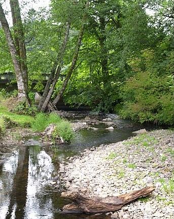 Bear Creek