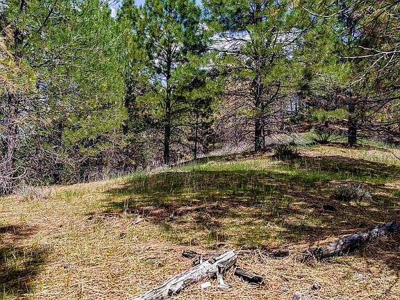 4th image of Trails End Way