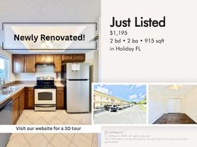 1915 Schlotter Cir, Holiday, FL