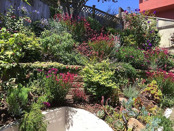 Hillside garden
