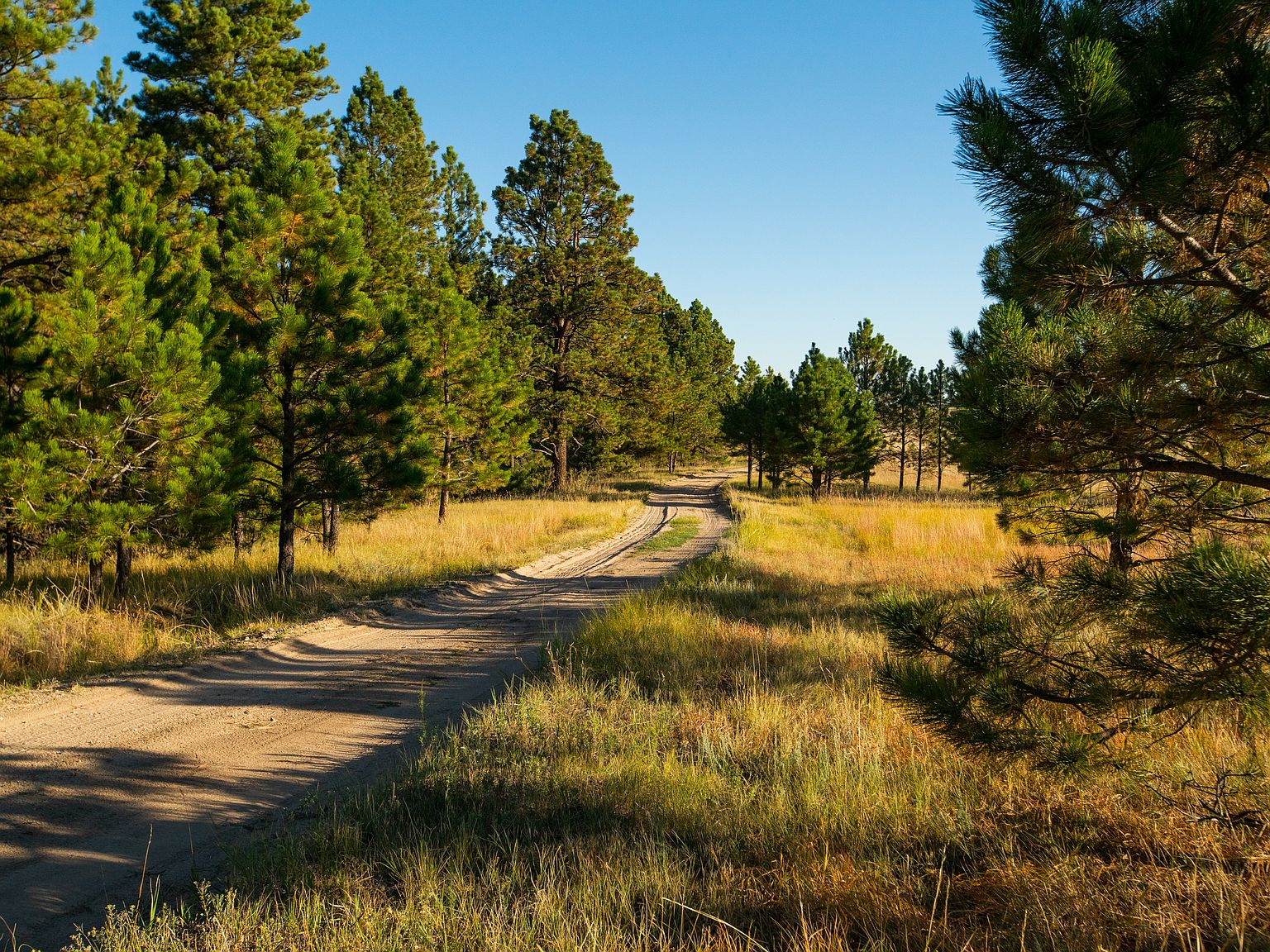 19100 County Road 17, Elbert, CO 80106 Zillow