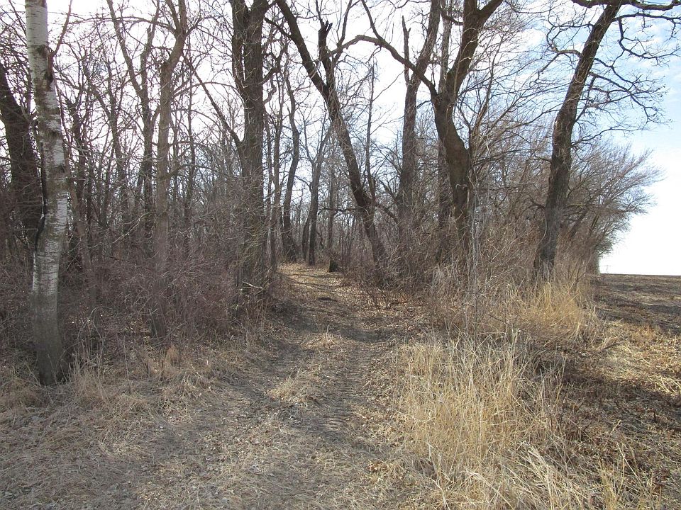 2nd image of 480th St