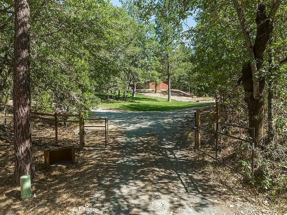 1 bed, 1000 sqft, $1,000 — Photo 3