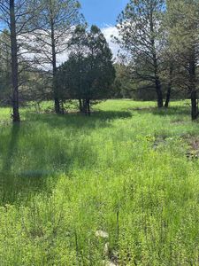 46 Rocky Trail Rd, Timberon, NM, 88350