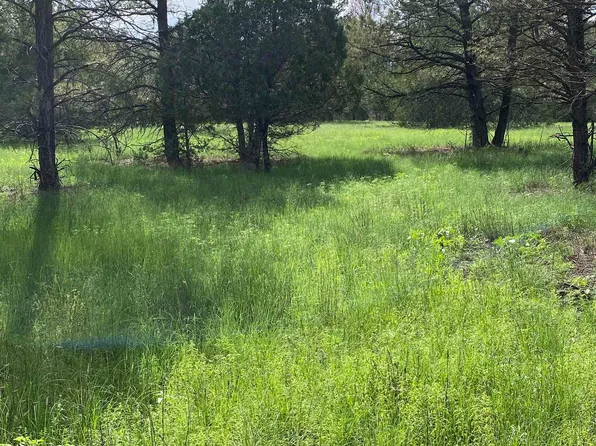 46 Rocky Trail Rd, Timberon, NM 88350
