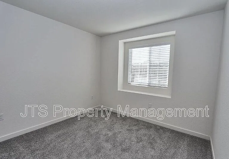 2097 Shady Tree Cir — Photo 52