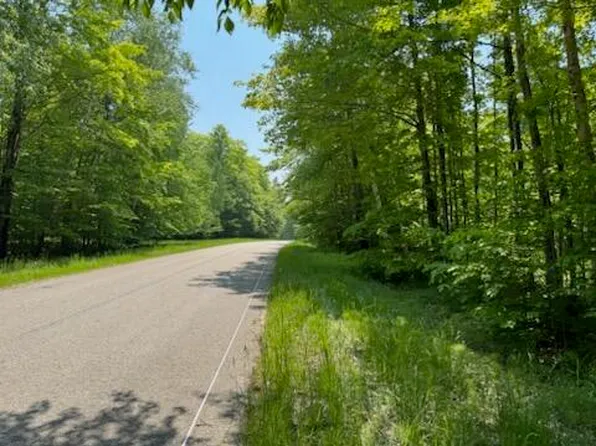 0 County Road 98 Cir #479, Mc Millan, MI 49853