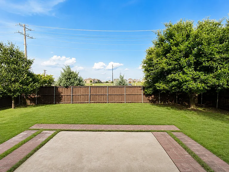 Backyard