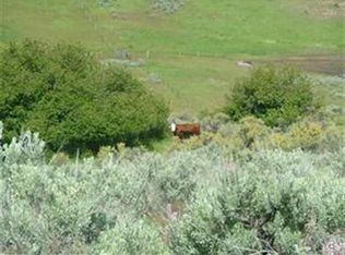 2203 Ben Ross Rd, Indian Valley, ID 83632
