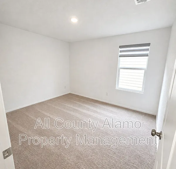 9258 Honey Mesquite — Photo 20