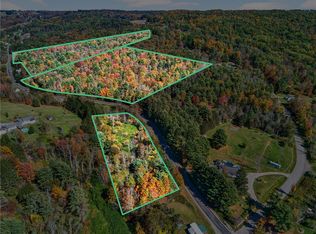 Honeypot Rd, Candor, NY 13743