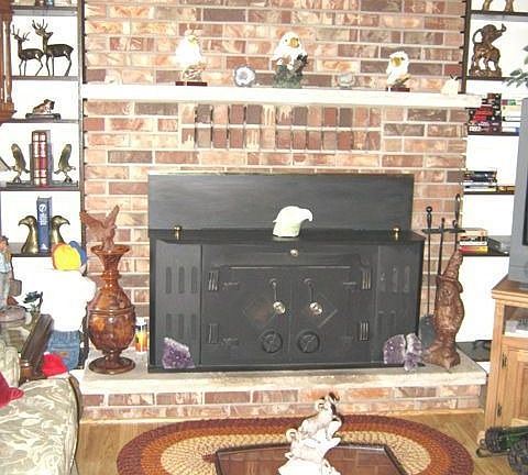 Fireplace/wood insert