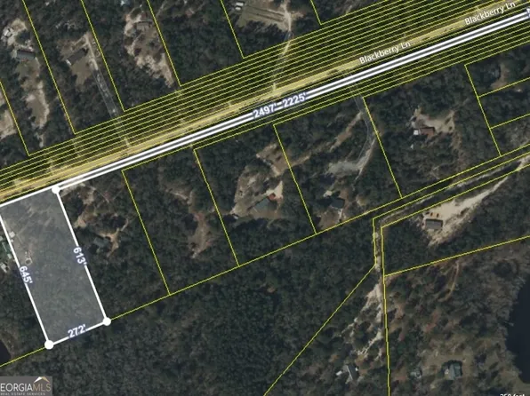162 Blackberry Ln, Augusta, GA 30906