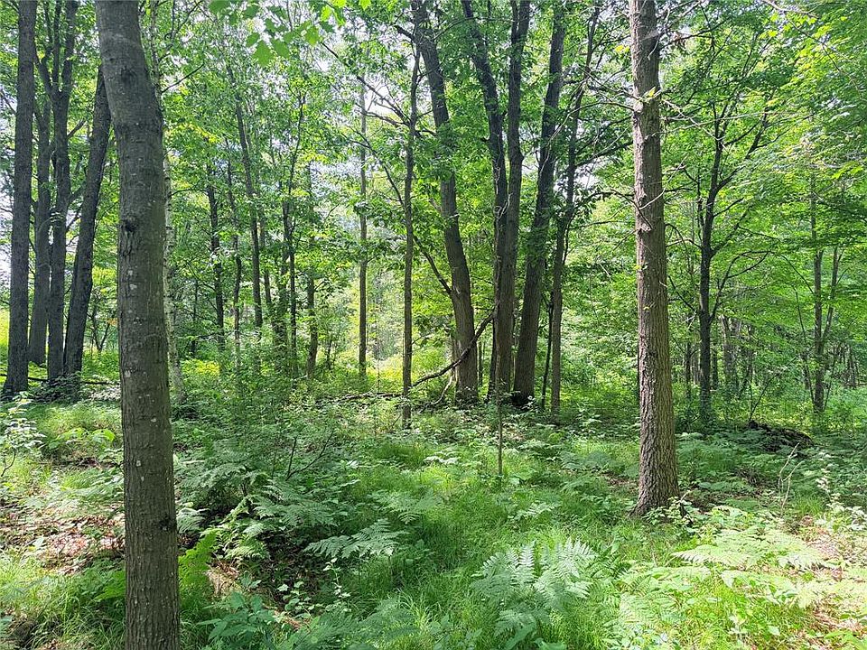 1st image of 10 Acres Peterson Road