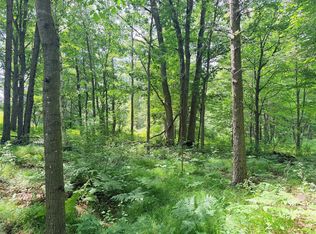 10 Acres Peterson Road, Bruce, WI 54819