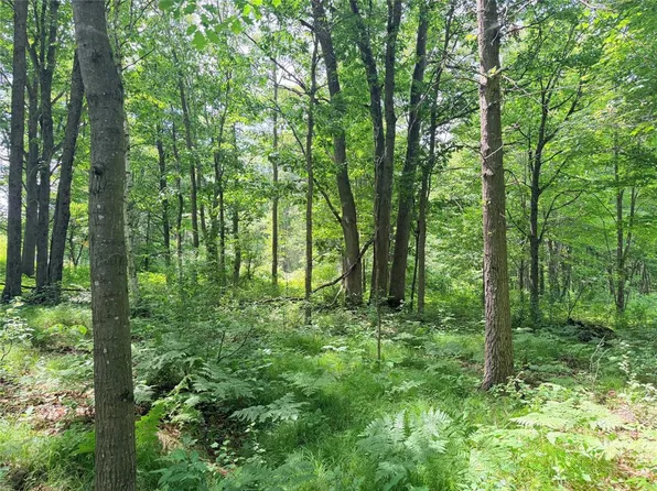10 Acres Peterson Road, Bruce, WI 54819