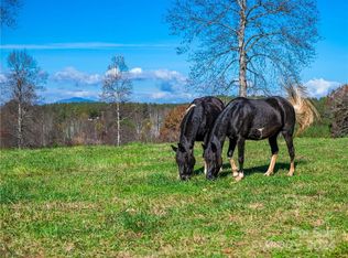 99999 Manus Chapel Rd, Mill Spring, NC 28756