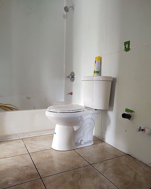 New bathtub, toilet, plumbing