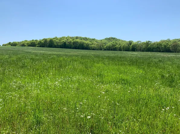 6795 Owen Hill Rd, College Grove, TN 37046