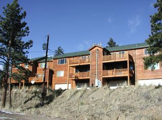 303 Virginia Rd APT A, Bailey, CO 80421