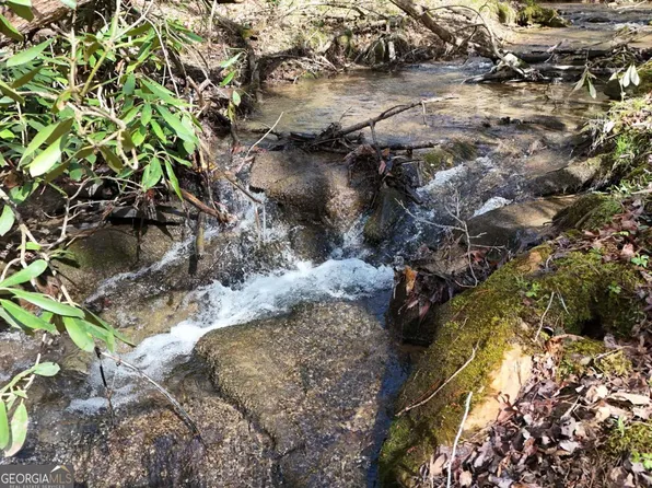 LOT-44B Synacia Dr, Mineral Bluff, GA 30559