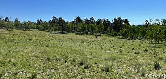 3rd image of 542 Deerview Drive LOT 532