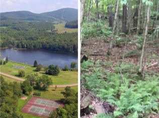 Tunis Lake Rd, Andes, NY 13731