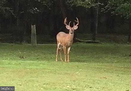 5th image of 698 Elk Run Estates Dr