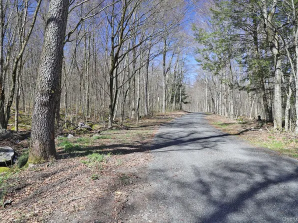 Bethlehem Road, Callicoon Center, NY 12724