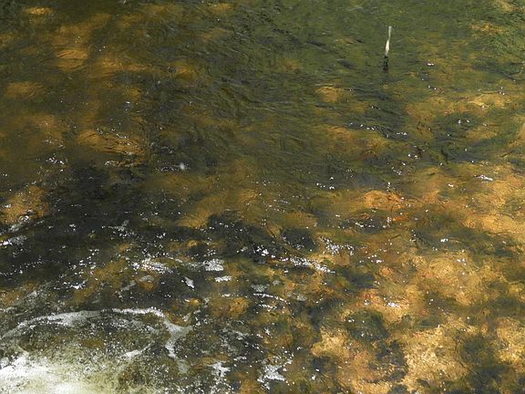 2nd image of 625X Iron Lake Rd