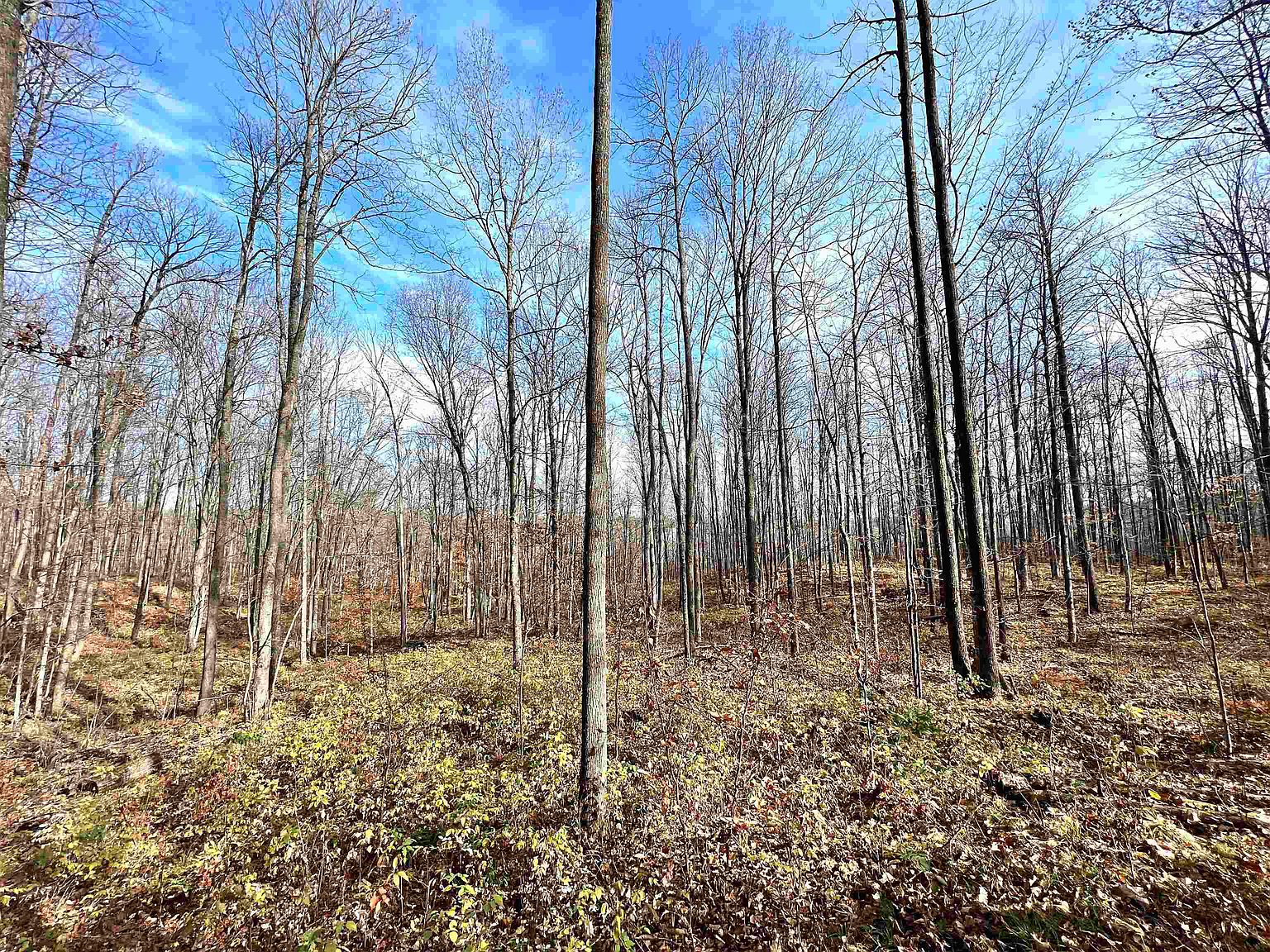 N12922 Limberg Ln 8, Athelstane, WI 54104 Zillow