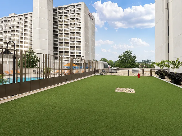 Turf Dog Run