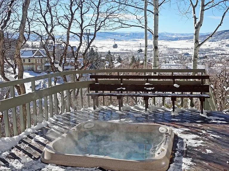 2460 Ski Trail Ln #ID1564281P — Photo 50