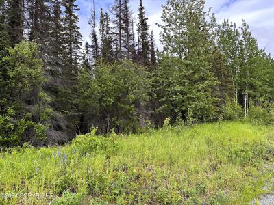 33700 Browns Lake Rd, Soldotna, AK, 99669