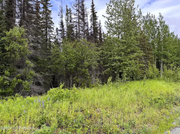 33700 Browns Lake Rd, Soldotna, AK 99669