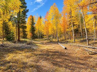 Lot 1 Venture Road Lot 1, Fairplay, CO 80440